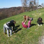 Čistilna akcija 2018 5